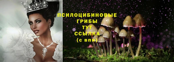 mdpv Сатка