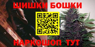 шишки Заволжье