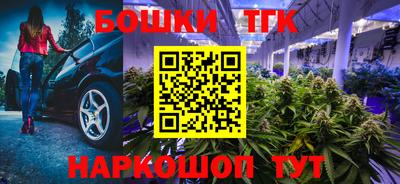 шишки Заволжье