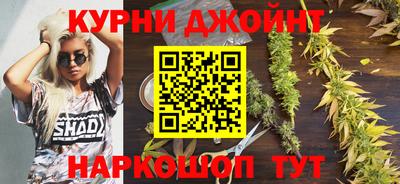 крисы Заводоуковск
