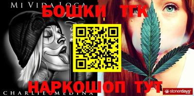 шишки Заволжье