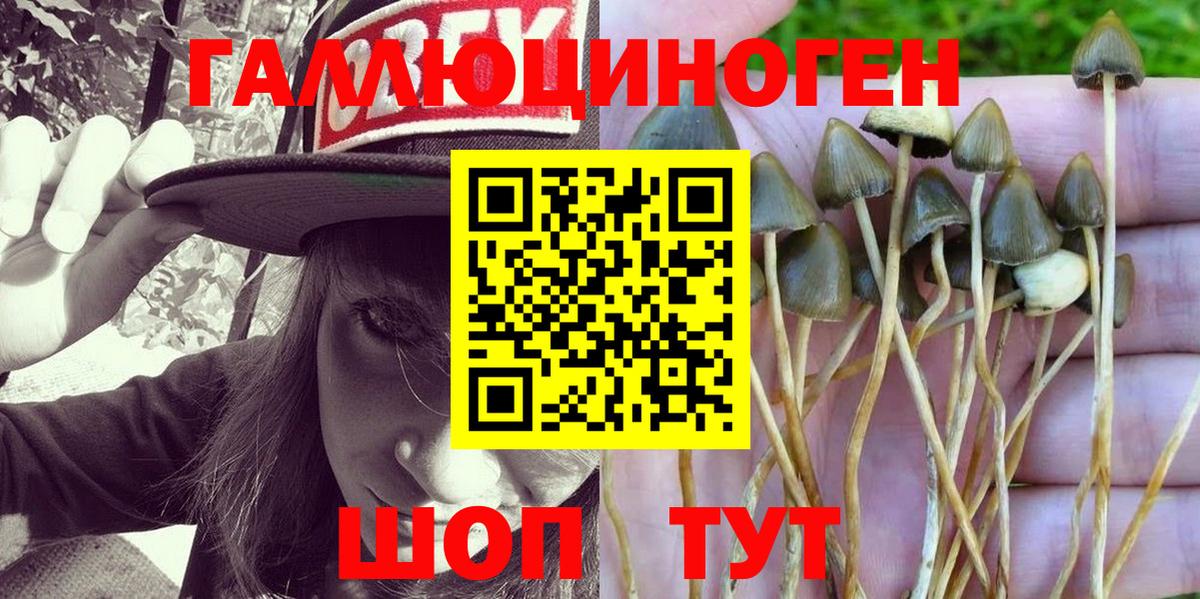 Галлюциногенные грибы Psilocybe  Вход с VPN  Галлюциногенные грибы ЛСД  Серов 