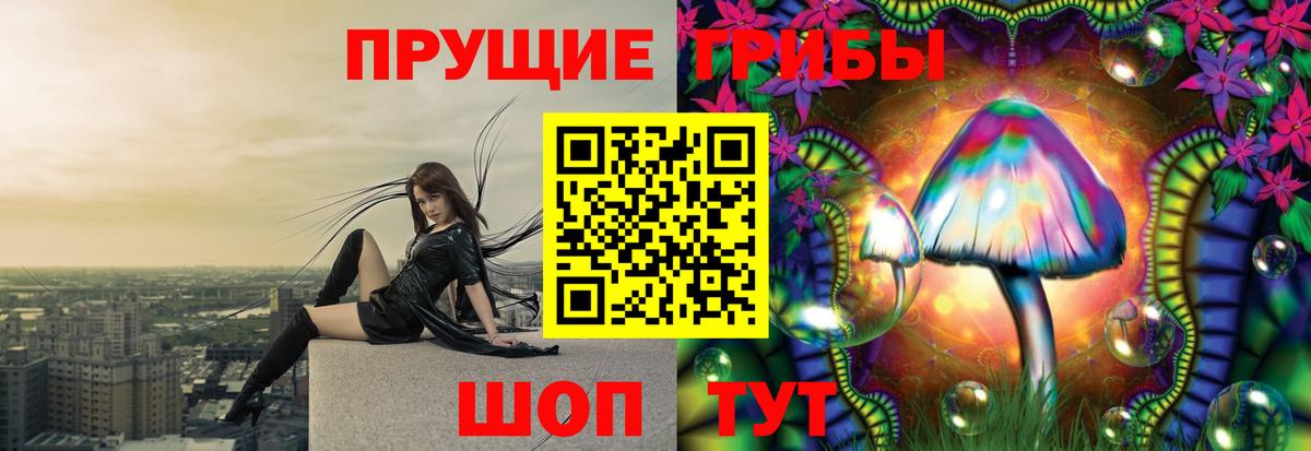 Галлюциногенные грибы Psilocybe  Серов 